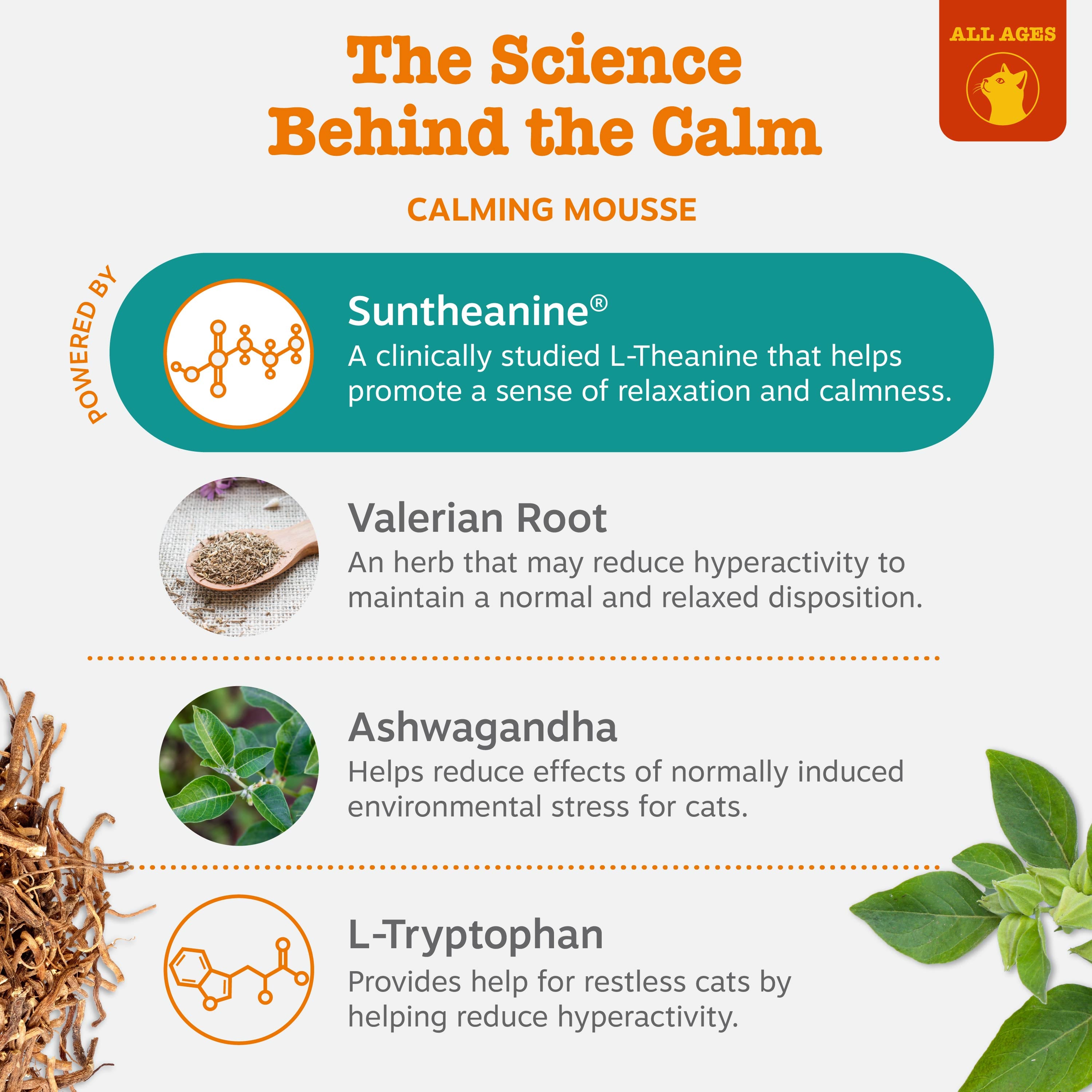 Diffuser Starter Kit + Calming Mousse | Bundle for Cats