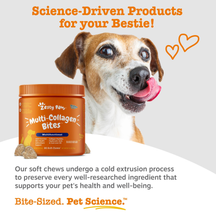 Brown and white dog with tongue out next to orange Multi-Collagen Bites jar with soft chews displayed below.