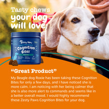 Senior dog treat bottle with soft chews next to elderly beagle being held by person outdoors.