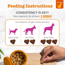 Feeding instructions chart showing dosage guidelines by dog size with heart-shaped treats and hand holding individual chew.