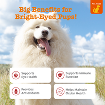White fluffy dog with tongue out against blue sky and grass background with benefit text boxes.