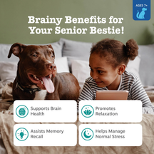 Brown dog with tongue out and child on couch, with benefit icons for brain health, relaxation, memory, and stress management.