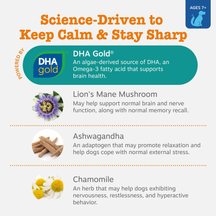 Product packaging listing ingredients for senior dog calming and cognition supplement bites with DHA Gold, Lion's Mane Mushro