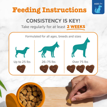 Feeding instructions chart showing dosage by dog size with silhouettes and heart-shaped treats, hand holding single bite over