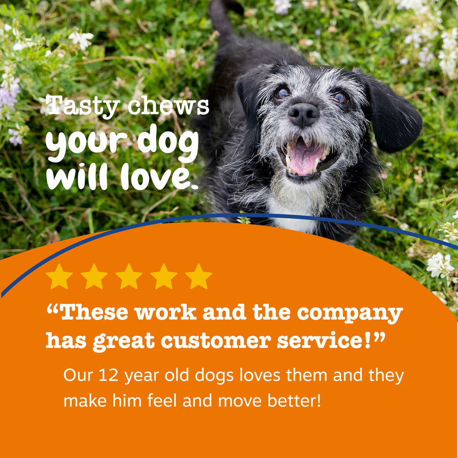 Senior Advanced 11-in-1 Multivitamin Bites for Senior Dogs