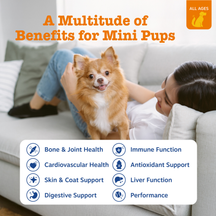 Small tan and white dog being held by a woman on a couch, with benefit icons below.