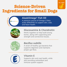 Infographic showing four key ingredients for small dogs: AlaskOmega Fish Oil, Glucosamine & Chondroitin, Bacillus subtilis, a