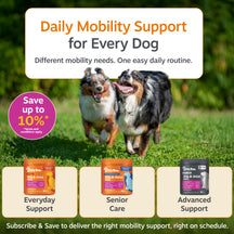 Two dogs running on grass with three product bottles labeled Everyday Support, Senior Care, and Advanced Support below.