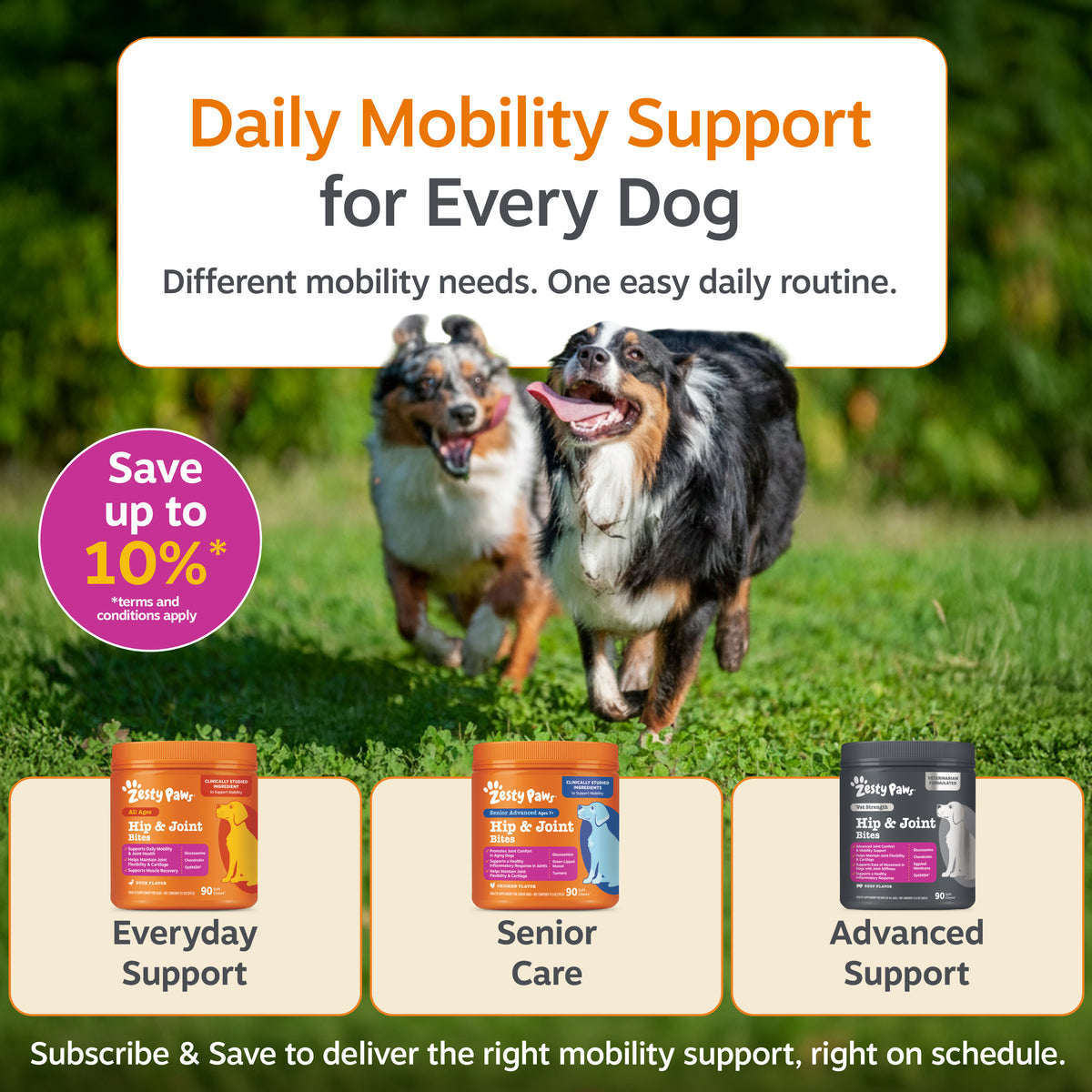 Two dogs running on grass with three product bottles labeled Everyday Support, Senior Care, and Advanced Support below.