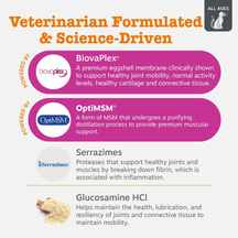 Packaging label for dog hip and joint supplement containing BiovaPlex, OptiMSM, Serrazimes, and Glucosamine HCl.