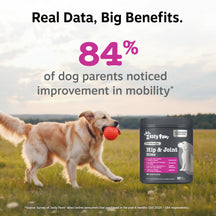 Dark container of Zesty Paws Hip & Joint Bites with white paw logo, displayed next to golden retriever holding red ball in fi