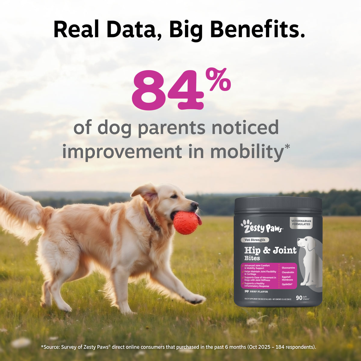 Dark container of Zesty Paws Hip & Joint Bites with white paw logo, displayed next to golden retriever holding red ball in fi