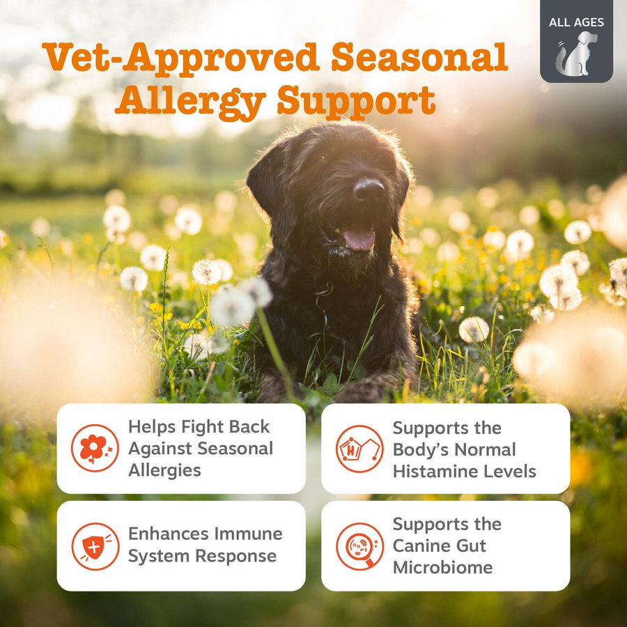 Vet Strength Allergy & Immune Bites™ for Dogs