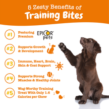 Brown dog standing on hind legs with paws raised, shown against white background with orange text banner above.
