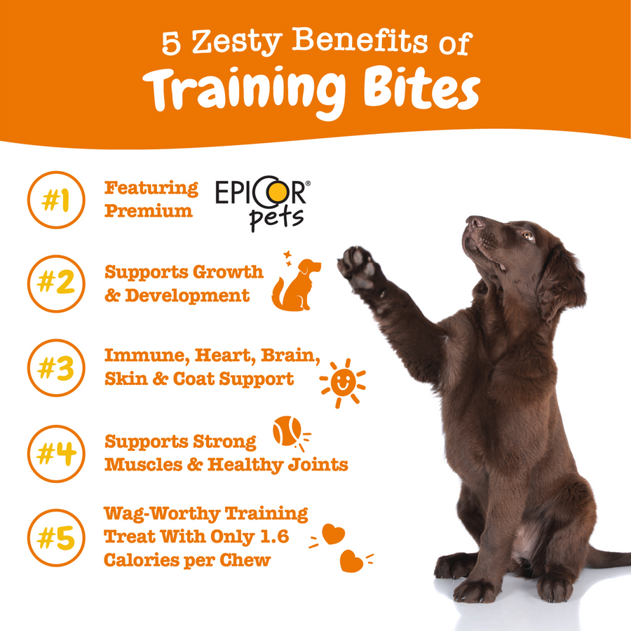 All-in-One Training Bites for Dogs