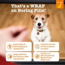 Brown and white dog with blurred hand holding pill in background, product benefits displayed in four text boxes.