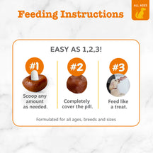 Feeding instructions showing three steps: scooping brown paste onto pill, covering pill completely, and dog eating treat.