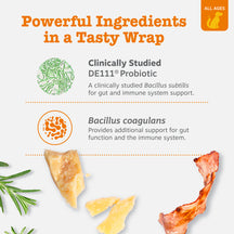 Infographic showing probiotic paste ingredients including bacterial cultures, cheese, bacon, and rosemary sprigs on white bac