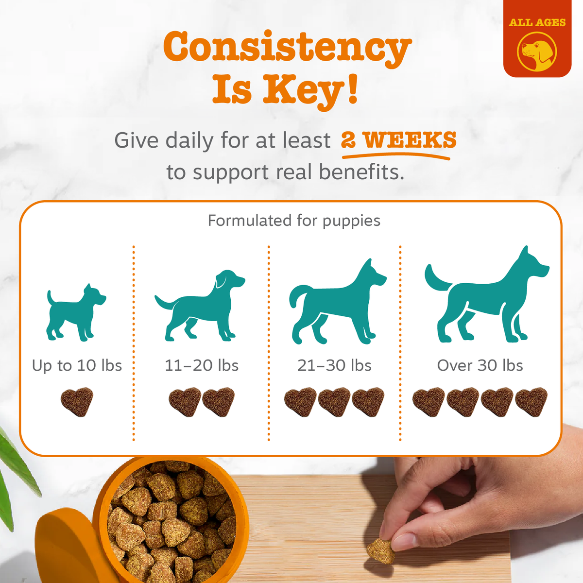Puppy treat dosage guide showing heart-shaped bites in orange bowl with size recommendations from up to 10 lbs to over 30 lbs