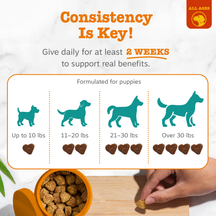 Puppy treat dosage guide showing heart-shaped bites in orange bowl with size recommendations from up to 10 lbs to over 30 lbs