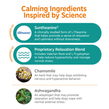 Infographic showing calming ingredients for puppy treats including Suntheanine, proprietary relaxation blend, chamomile, and 