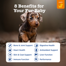 Small black and tan puppy with text overlay listing eight health benefits including bone support, digestive health, and heart