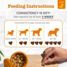 Feeding instructions guide showing puppy weight ranges with silhouettes, heart-shaped treats, and a hand holding a bite over 