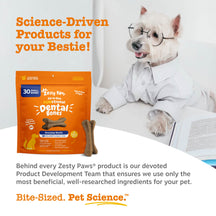 Orange Zesty Paws dental bones package with 30 small brown chew bones displayed in front.