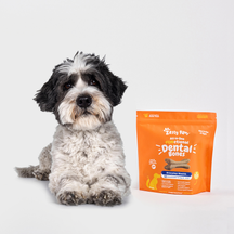 Black and white medium-sized dog sitting next to orange Dental Bones treat package.