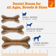 Three brown textured dental chew bones in small, medium, and large sizes with size guide and dog weight ranges.