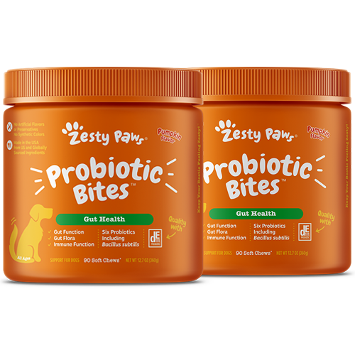 Two orange containers of Zesty Paw probiotic bites for dogs with white text and paw logo.