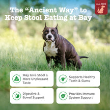 Brown and white dog standing in grass with product benefit text and icons displayed below.