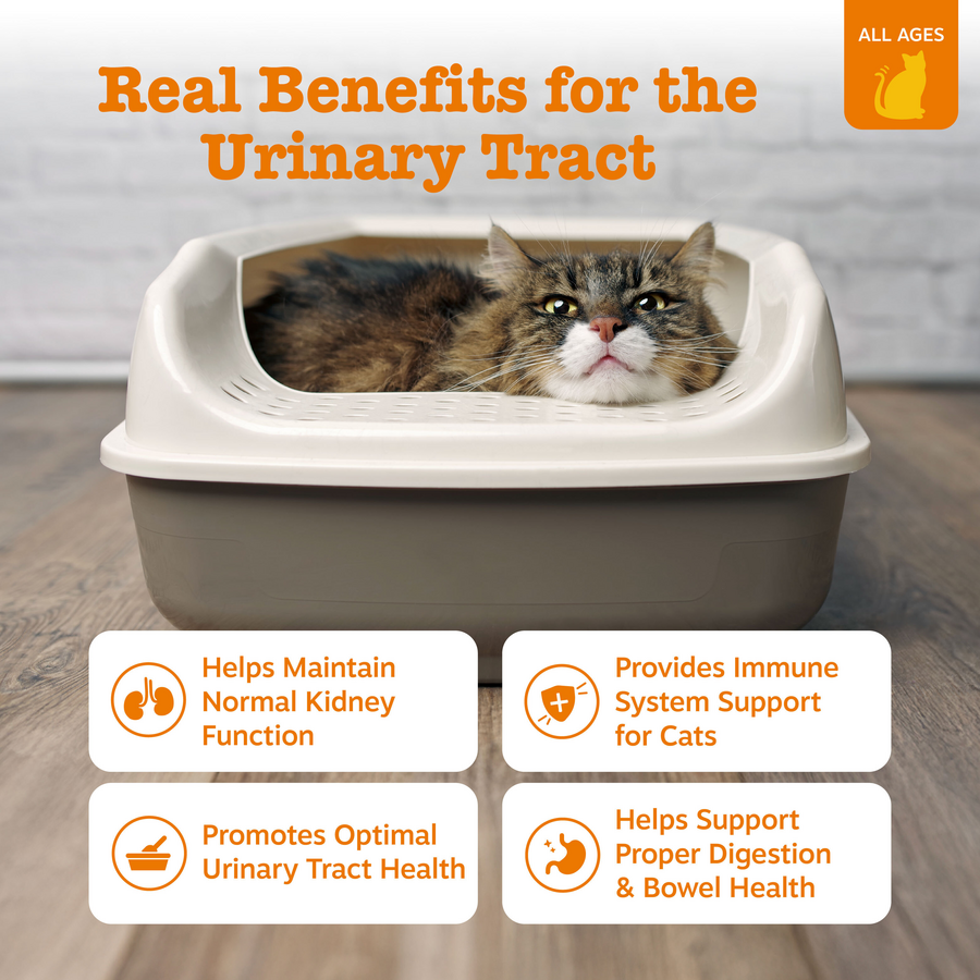Urinary Tract Cat Mousse