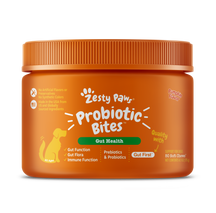 Orange bottle of Zesty Paw Probiotic Bites for dogs with pumpkin flavor, containing 80 soft chews.