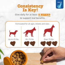 Heart-shaped dog treats in orange bowl with dosage guide showing portions for small, medium, and large dogs.