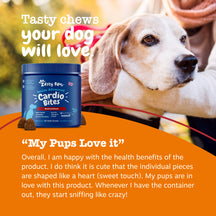 Blue jar of Zesty Paws Senior Advanced Cardio Bites with brown heart-shaped chews next to senior dog being held by person out