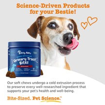 Blue container of Zesty Paw Senior Advanced Urinary Tract Bites with brown soft chews displayed beside senior dog with tongue