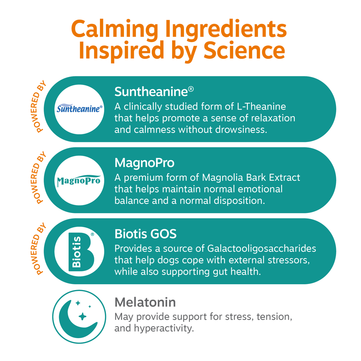 Infographic listing four calming ingredients: Suntheanine, MagnoPro, Biotis GOS, and Melatonin with descriptions.
