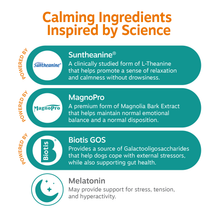 Infographic listing four calming ingredients: Suntheanine, MagnoPro, Biotis GOS, and Melatonin with descriptions.