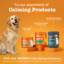 Golden Labrador sitting next to three orange and gray Zesty Paws calming bite containers on orange platform against orange ba