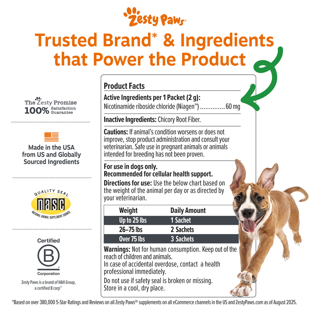 Healthy Aging NAD+ Precursor Powder for Dogs