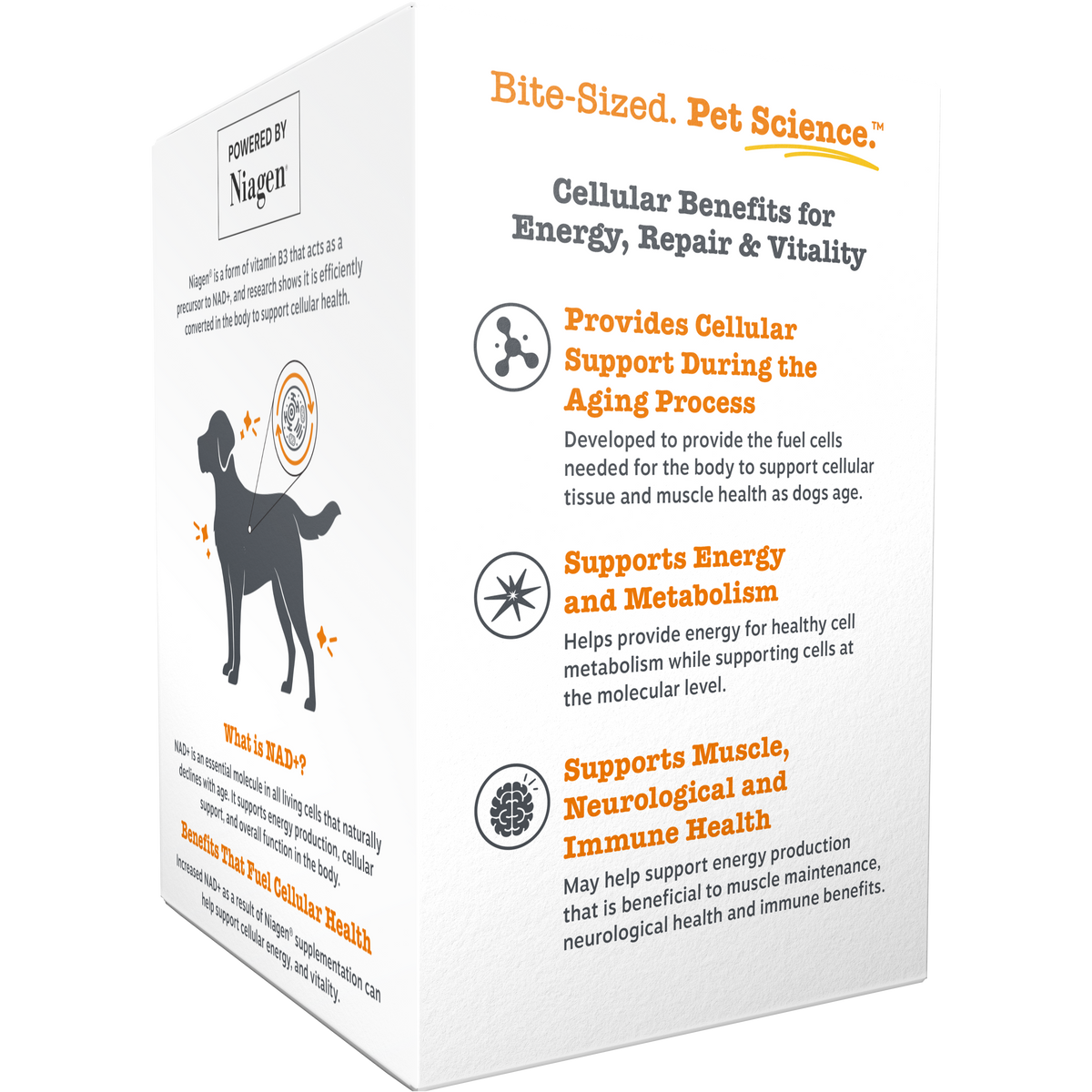 Healthy Aging NAD+ Precursor Powder for Dogs