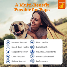 Woman and yellow Labrador in outdoor field with multivitamin powder product benefits listed below.