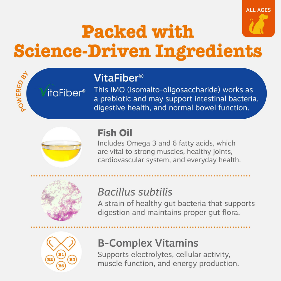 Multivitamin Powder for Dogs