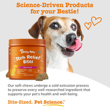 Orange bottle of Itch Relief Bites soft chews next to tan and white dog with tongue out.