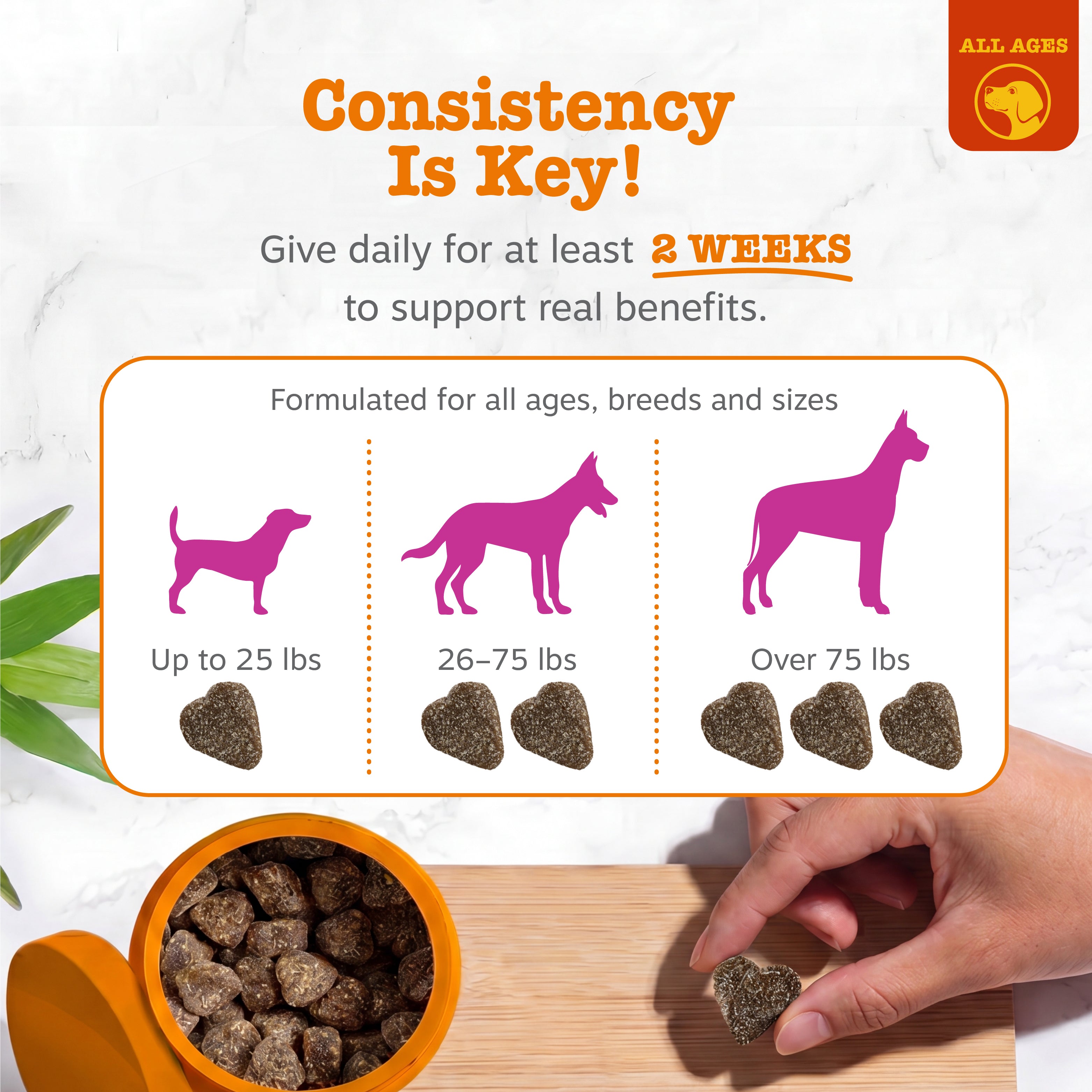 Heart-shaped dog treats shown in orange bowl and held in hand, with sizing guide for small, medium and large dogs.