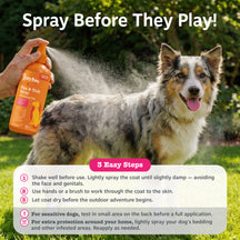 Orange flea and tick spray bottle being held over a brown and white dog in a grassy outdoor setting.