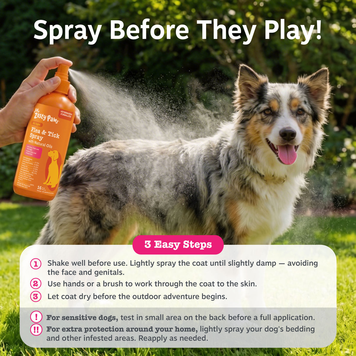 Orange flea and tick spray bottle being held over a brown and white dog in a grassy outdoor setting.