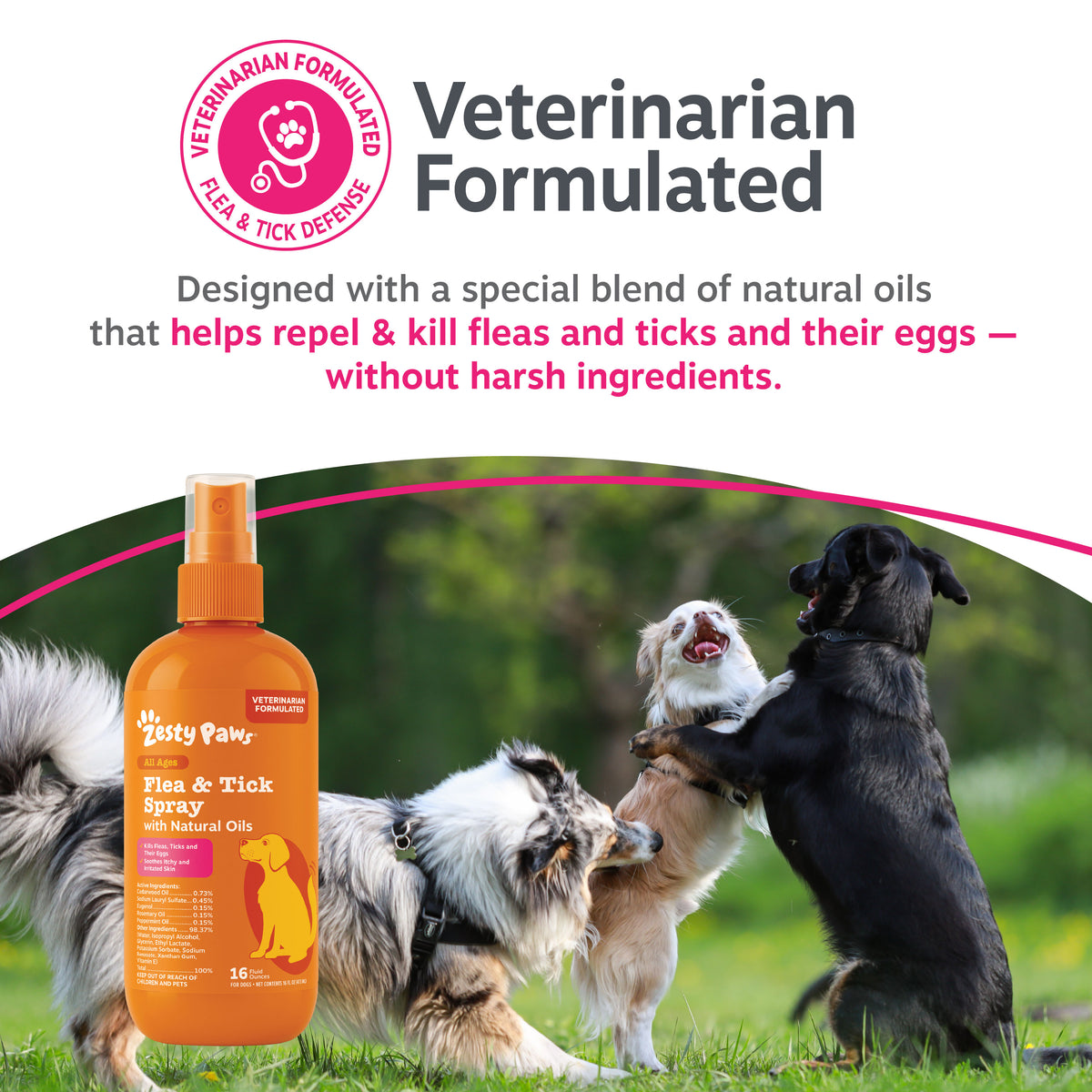 Orange spray bottle labeled "Zesty Paws Flea & Tick Spray" with natural oils displayed next to three dogs on grass.