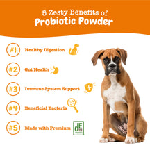 Brown and white dog sitting next to orange banner listing five probiotic powder benefits with icons.